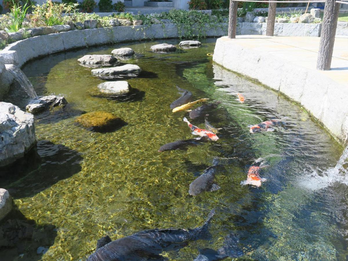 Racine Home Harie Takashima المظهر الخارجي الصورة