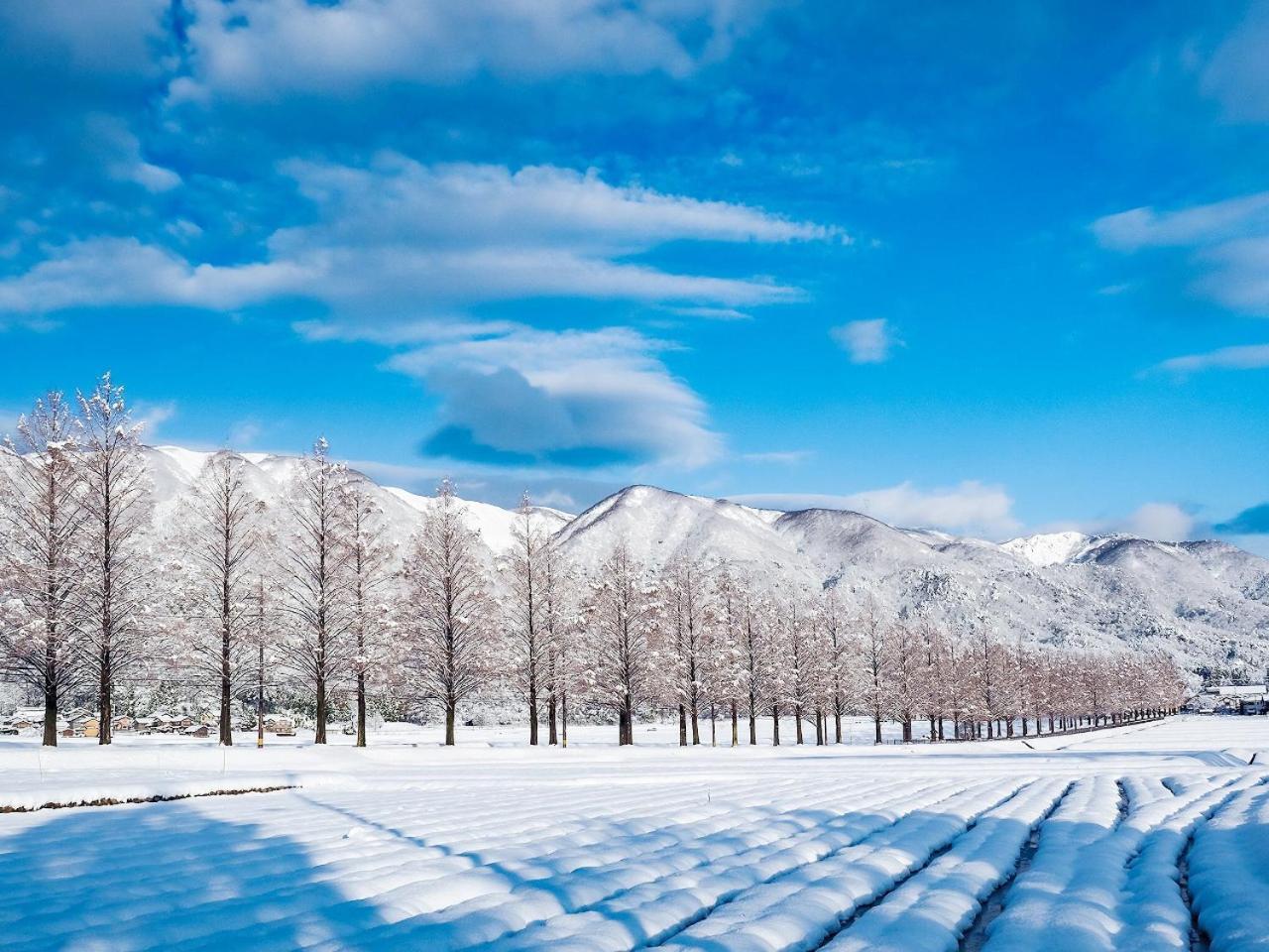 Racine Home Harie Takashima المظهر الخارجي الصورة